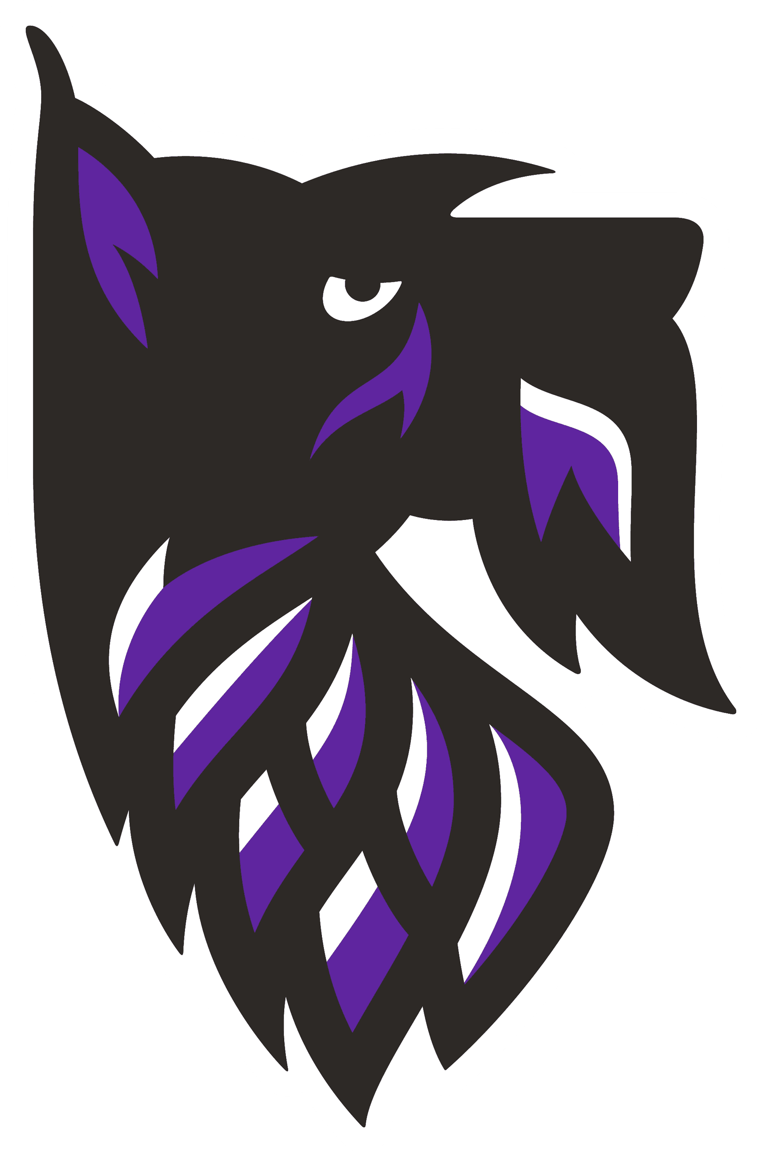 Agnes Scott College